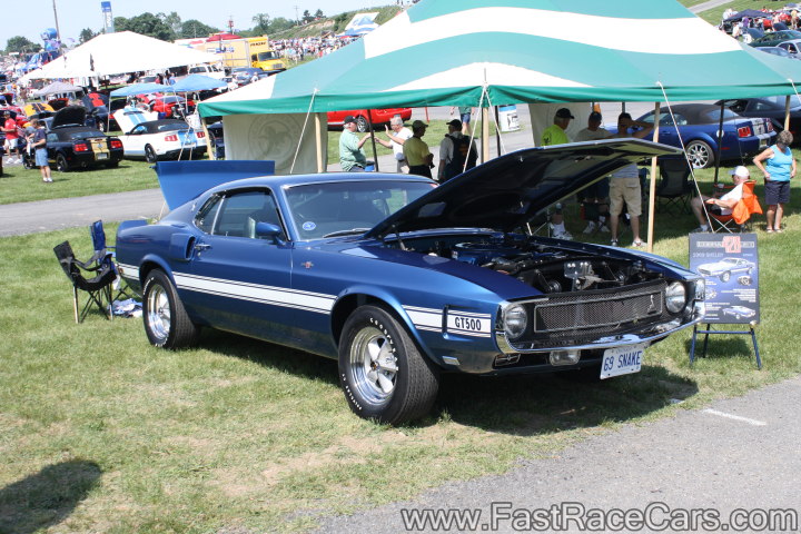 Mustang Mustang